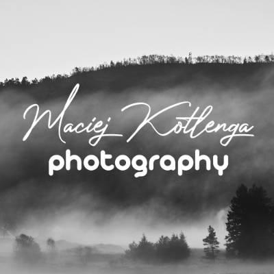 Partner: Maciej Kotlenga Photography, Adres: Aleja Niepodległości 642/644, 81-854 Sopot